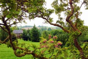 La Haute Berterie - In Normandie